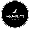 Aquaflyte Images